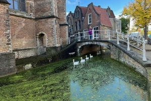 Kinderdijk Windmills, Delft City & Delft Blue Factory Visit