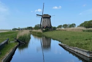 Kinderdijk Windmills, Delft City & Delft Blue Factory Visit