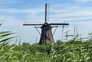 Visite des moulins de Kinderdijk, de la ville de Delft et de l'usine Delft Blue