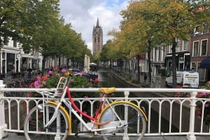 Visite des moulins de Kinderdijk, de la ville de Delft et de l'usine Delft Blue