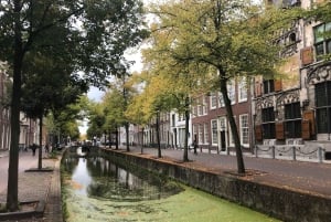 Visite des moulins de Kinderdijk, de la ville de Delft et de l'usine Delft Blue