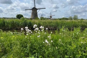 Visite des moulins de Kinderdijk, de la ville de Delft et de l'usine Delft Blue