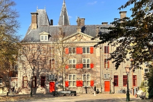 Leiden: tour a pie por los lugares de interés cultural NUEVO