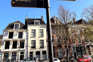 Leiden: tour a pie por los lugares de interés cultural NUEVO