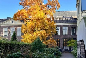 Leiden: tour a pie por los lugares de interés cultural NUEVO