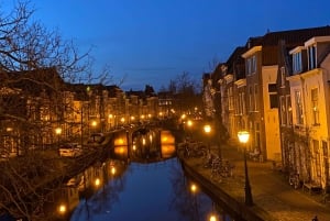 Leiden: Historisk privat guidet tur fra Amsterdam