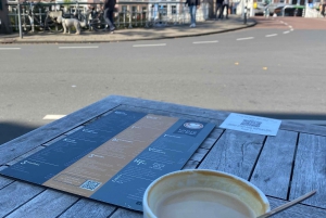 Leiden: Historisk privat guidet tur fra Amsterdam