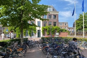 Leiden: Historical private guided tour from Amsterdam
