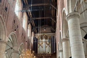 Leiden: Historical private guided tour from Amsterdam