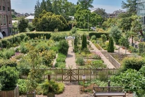 Leiden: Hortus Botanicus Toegangsbewijs
