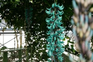 Leiden: Hortus Botanicus Toegangsbewijs