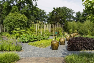 Leiden: Hortus Botanicus Toegangsbewijs