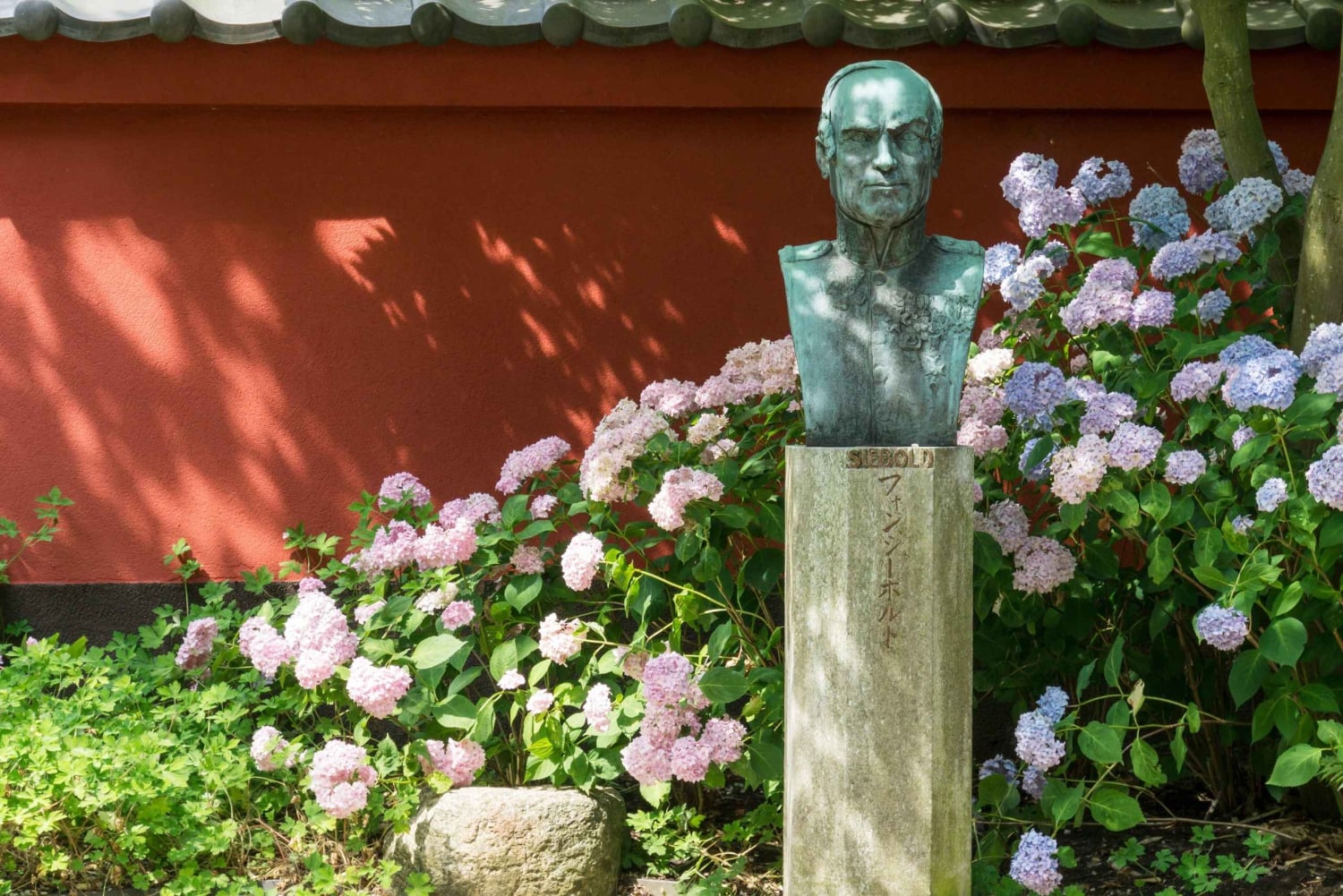 ライデン：ライデン植物園入場チケット