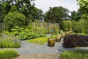 ライデン：ライデン植物園入場チケット