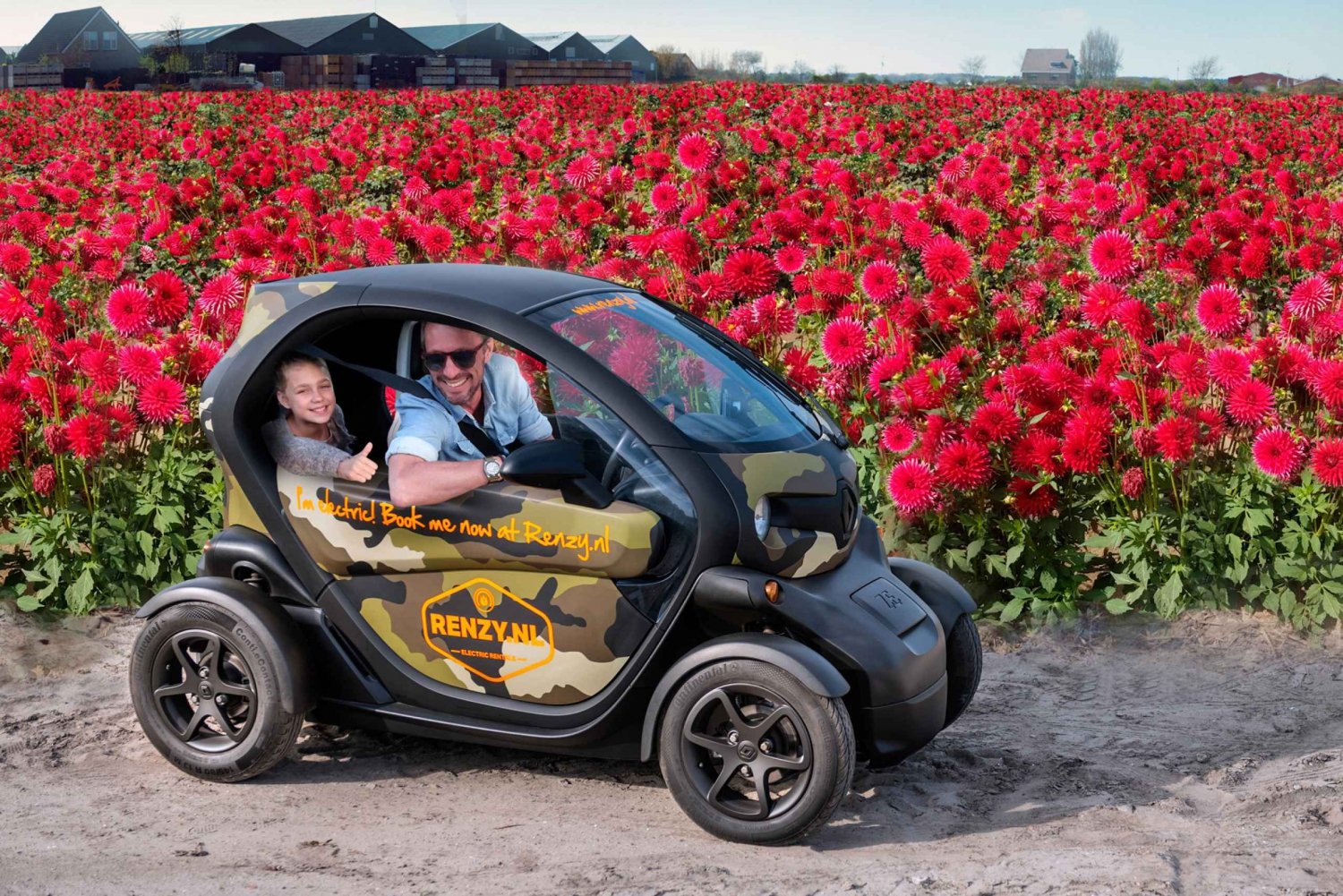 Lisse: Drive-it-Yourself Dahlia Flower GPS Audio Tour
