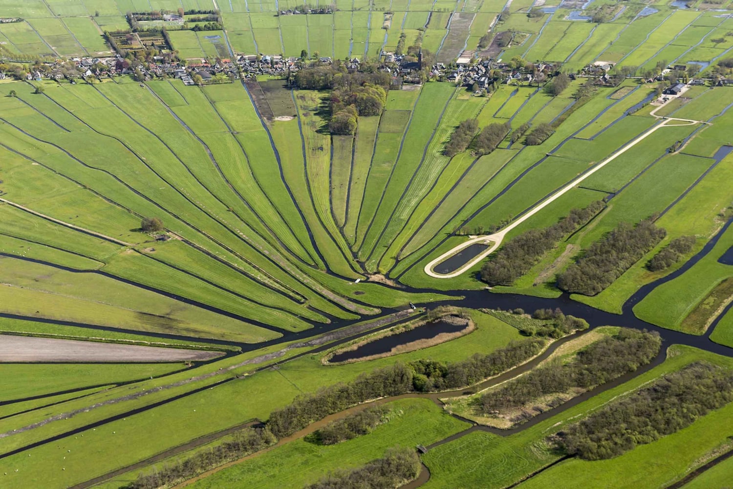 Lisse: GPS-Audio-Tour zum Selberfahren in den Niederlanden