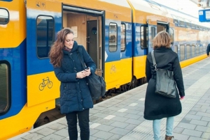 Madurodam: Tren + tranvía con transbordo a/desde Amsterdam