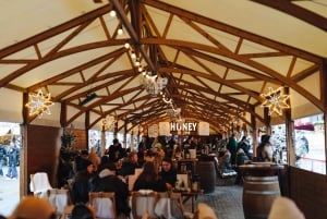 Biglietto d'ingresso per la pista di pattinaggio sul ghiaccio di Museumplein