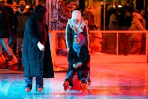 Biglietto d'ingresso per la pista di pattinaggio sul ghiaccio di Museumplein