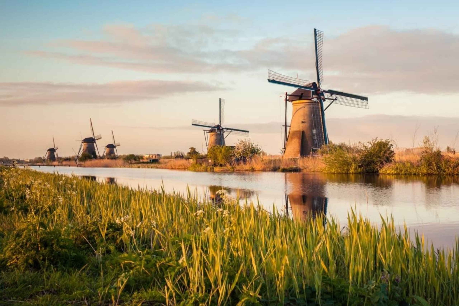 Private tour: From Amsterdam to Windmills & Giethoorn