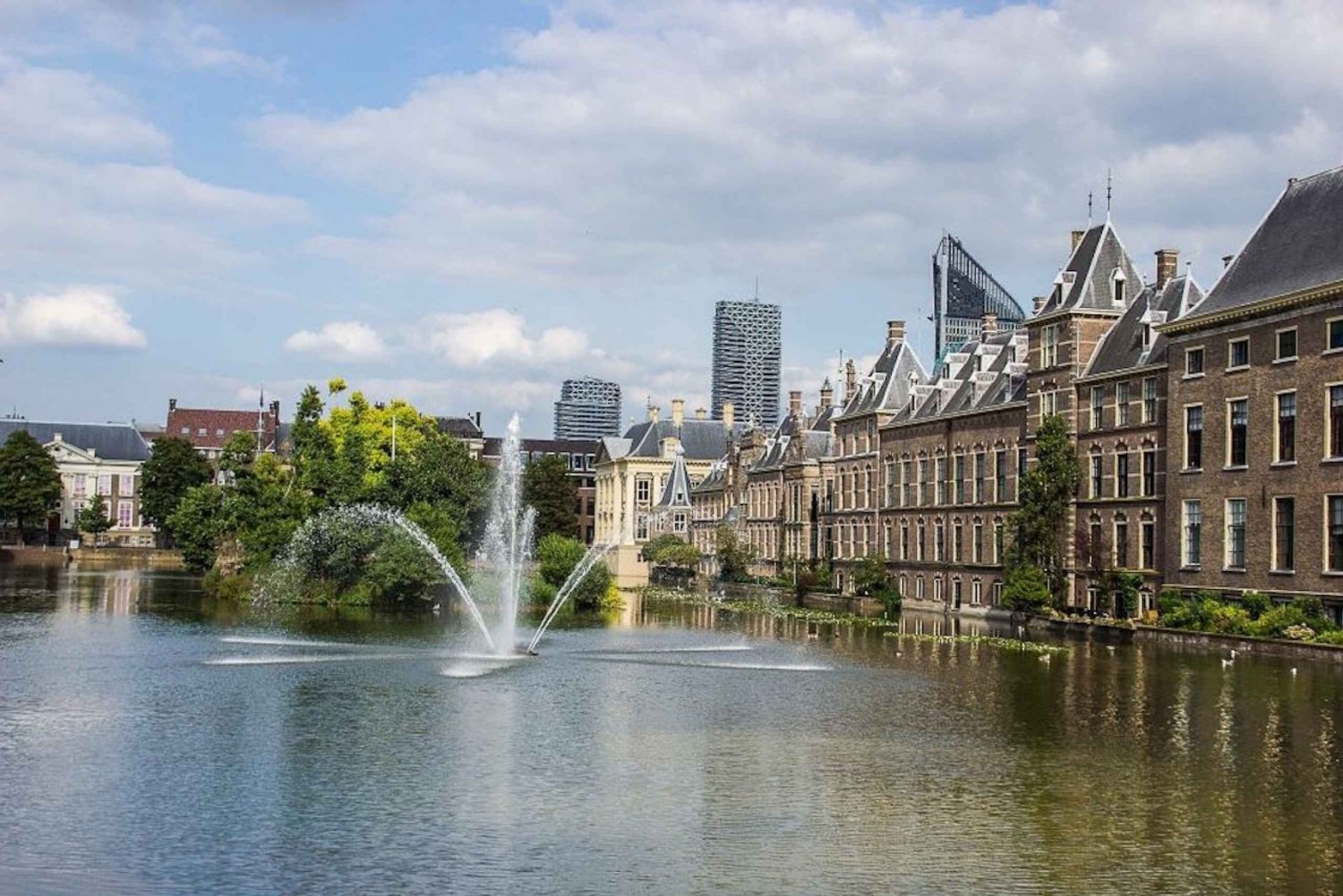 Fra Amsterdam: Privat tur til Haag og adgang til Mauritshuis