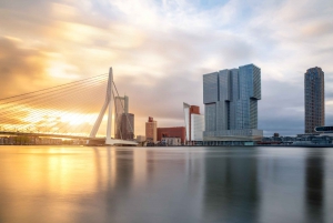Vanuit dagtocht met gids Rotterdam, Delft & Den Haag