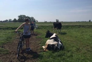 De Amsterdã: passeio de bicicleta pelo campo