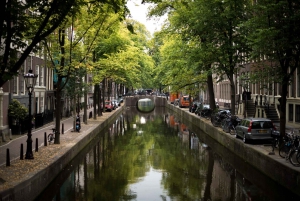 Desde Amsterdam: Excursión Privada a La Haya y Entrada a la Mauritshuis