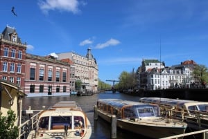 Amsterdam: tour guidato privato durante lo scalo (3 ore, 4 ore o 5 ore)