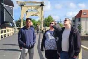 Private Netherlands Guided Day tour from your Hotel