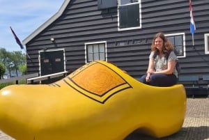 Private Netherlands Guided Day tour from your Hotel