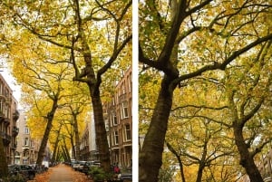 Photoshoot in or around Amsterdam