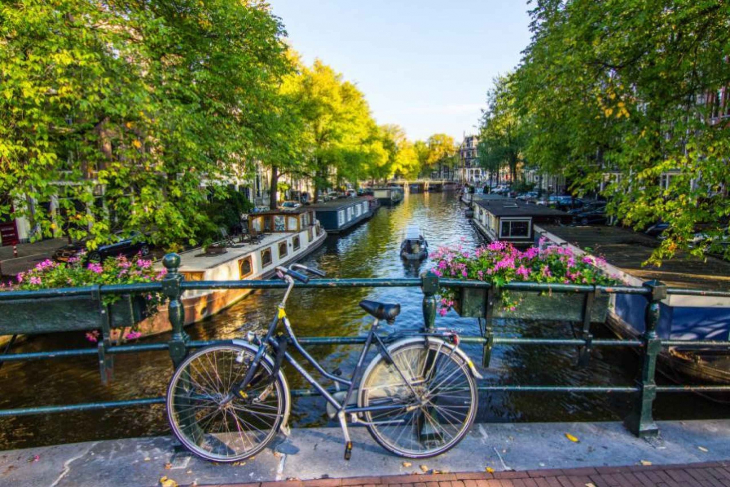 Amsterdam: Highlights & History Walking Tour