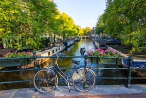 Private Amsterdam Walking Tour in German or English