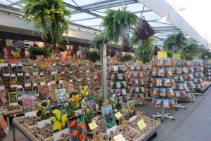 Tour a pie privado por Ámsterdam