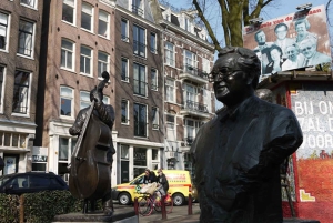 Tour a pie privado por Ámsterdam