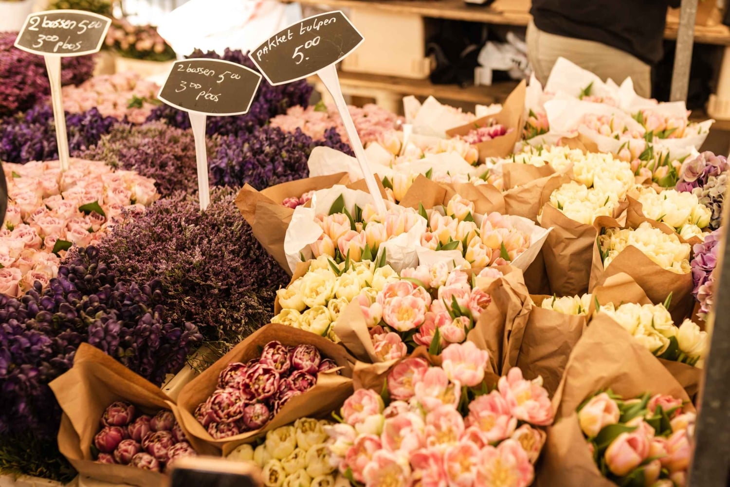 Частный тур по Амстердаму: скрытые жемчужины с местным жителем