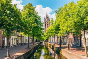 Private Day Tour of Amsterdam's Old Town Highlights by Car