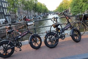 Private E-bike tour of Amsterdam