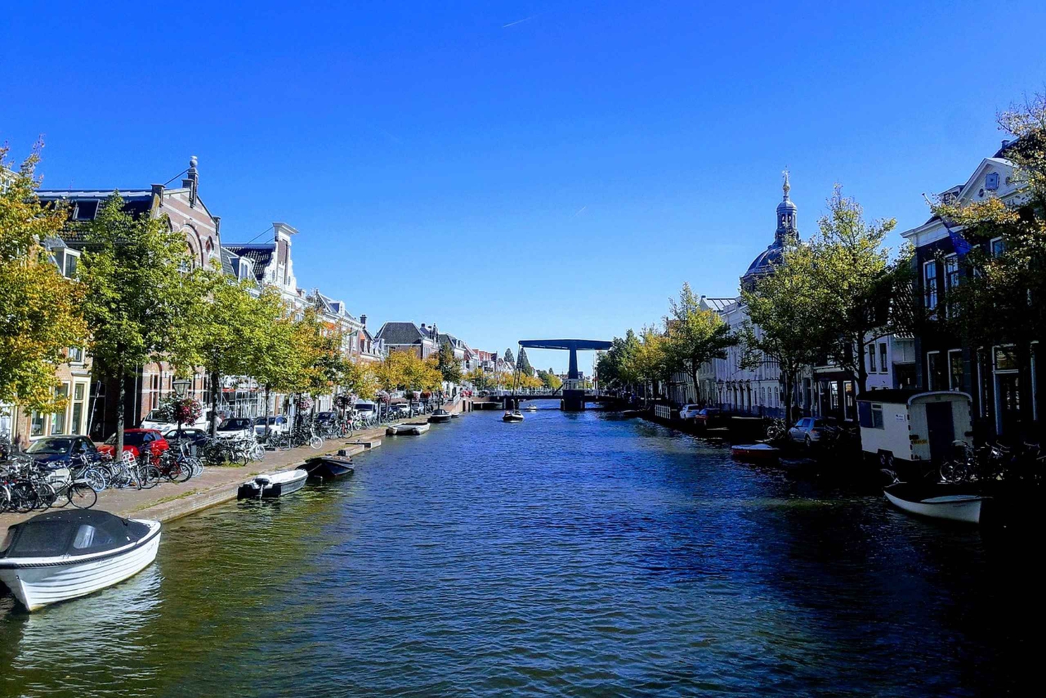Visite privée de Kinderdijk, site de l'UNESCO, et de la Hollande méridionale