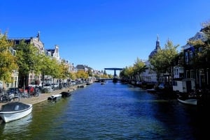 Visite privée de Kinderdijk, site de l'UNESCO, et de la Hollande méridionale