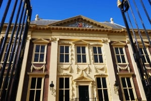 Private Sightseeing Tour from Amsterdam to The Hague & Delft