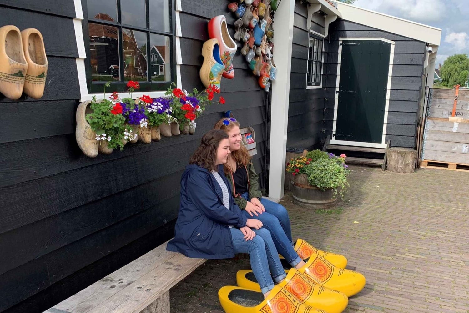 Tour particular pelo interior holandês de carro