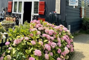 Privat tur på den holländska landsbygden med bil