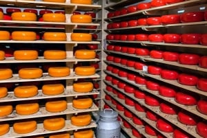 Tour particular pelo interior holandês de carro