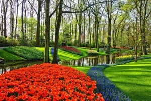 Amsterdam: Keukenhof & Zaanse Schans Windmills Private Tour