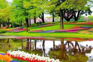 Amsterdam: Private tour Tulips, Keukenhof, Windmill & Cheese