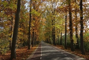 Private Tour zum Nationalpark Veluwe und zum Kröller-Müller-Museum