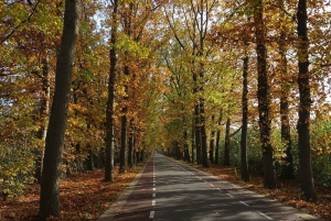 Yksityinen kierros Veluwe-kansallispuistossa ja Kröller Müller -museossa