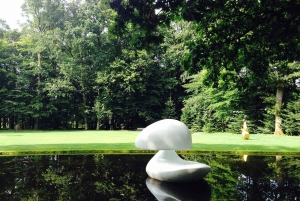 Yksityinen kierros Veluwe-kansallispuistossa ja Kröller Müller -museossa